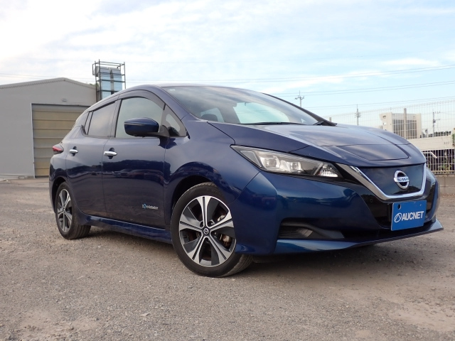 NISSAN LEAF 2019