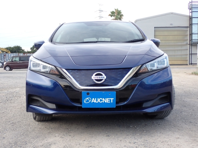 NISSAN LEAF 2019