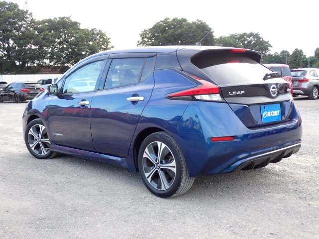 NISSAN LEAF 2019