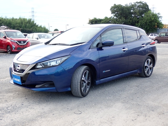 NISSAN LEAF 2019