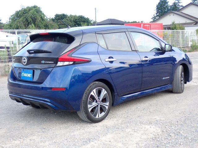 NISSAN LEAF 2019