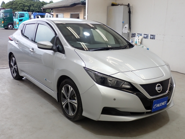NISSAN LEAF 2018