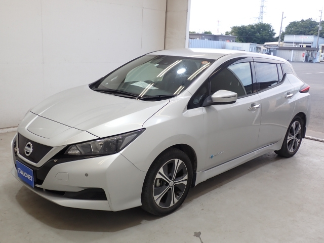 NISSAN LEAF 2018
