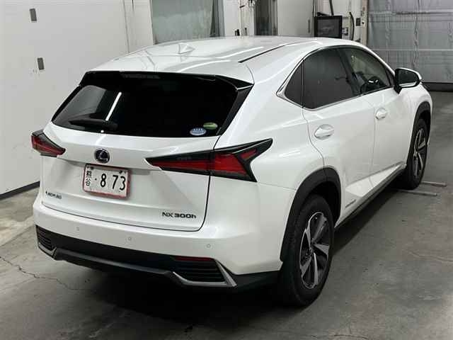 LEXUS NX 2019