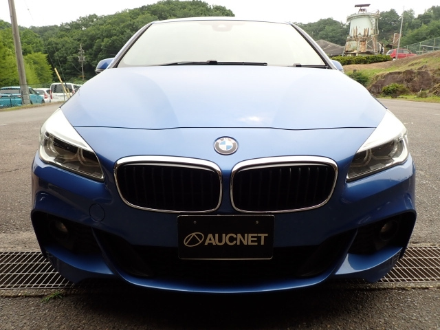 BMW 2 SERIES 2016