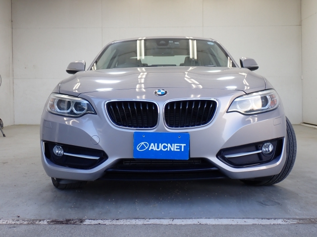 BMW 2 SERIES 2014