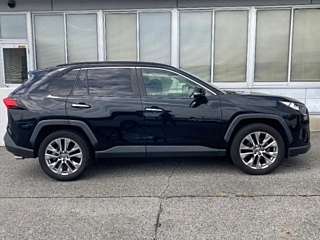 TOYOTA RAV4 2020