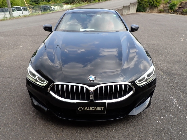 BMW 8 SERIES 2019