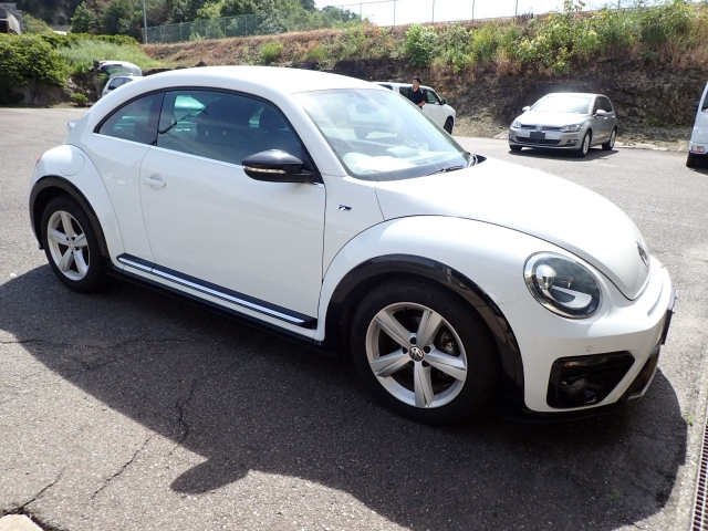 VOLKSWAGEN THE BEETLE 2016