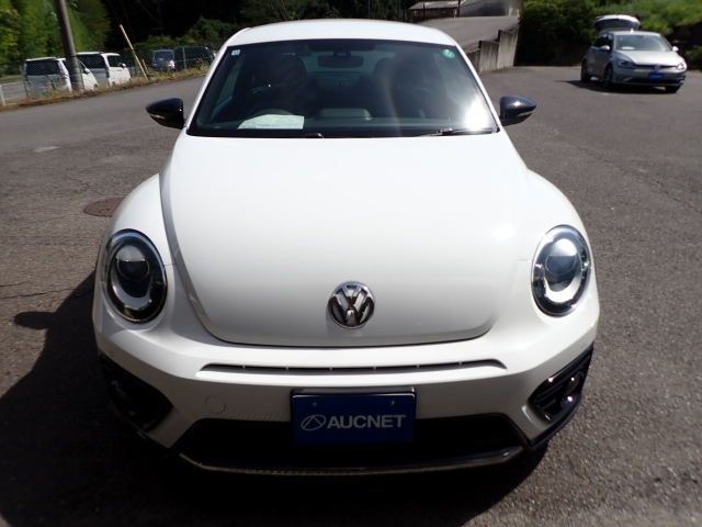 VOLKSWAGEN THE BEETLE 2016
