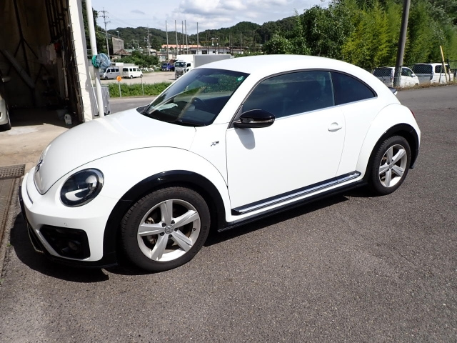 VOLKSWAGEN THE BEETLE 2016