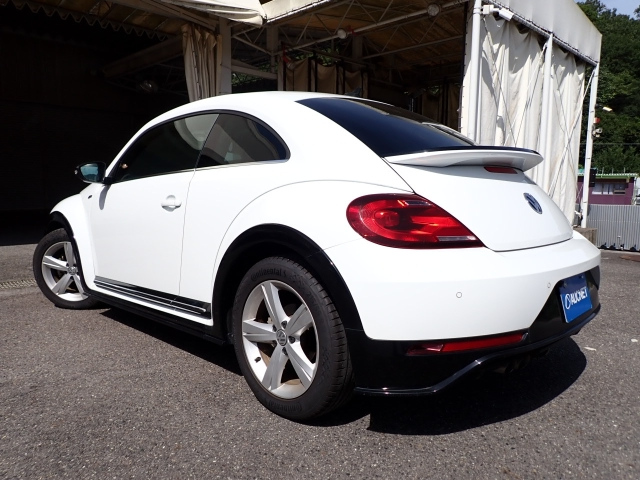 VOLKSWAGEN THE BEETLE 2016