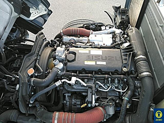 ISUZU ELF 2020