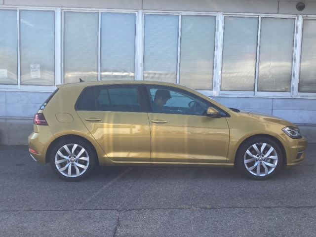 VOLKSWAGEN GOLF 2017