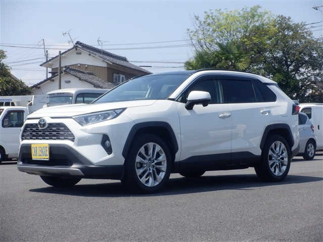 TOYOTA RAV4 2019