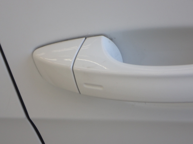 VOLKSWAGEN GOLF VARIANT 2019