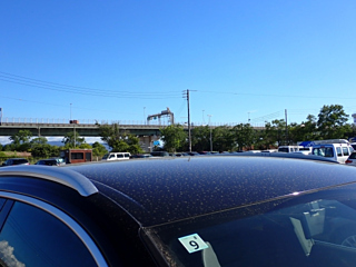 car slider