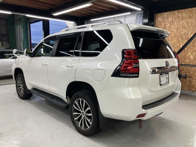 TOYOTA LAND CRUISER PRADO 2019