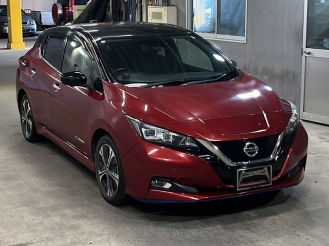 NISSAN LEAF 2020