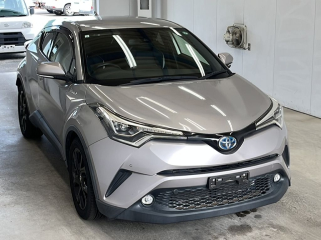 TOYOTA C-HR 2019
