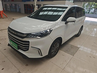 maxus other