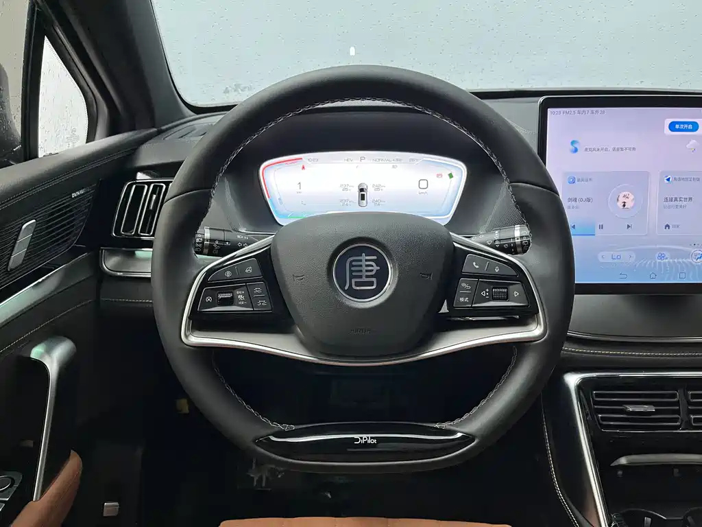 BYD TANG NEW ENERGY 2024