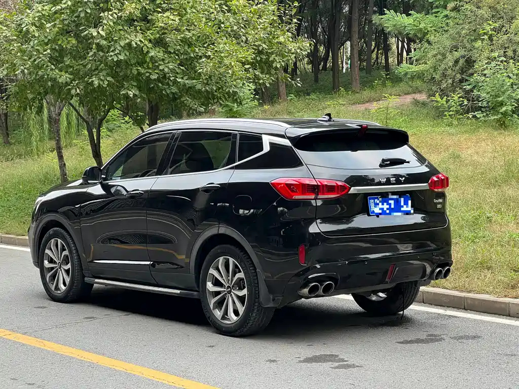 WEY VV6 2019