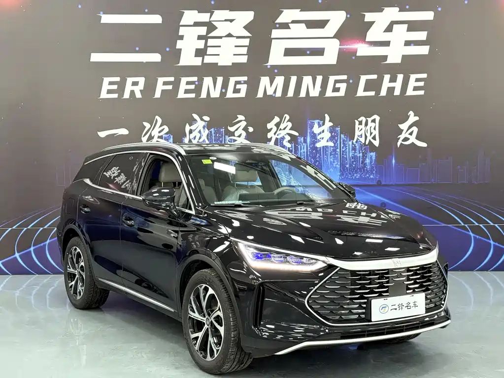 BYD TANG NEW ENERGY 2025