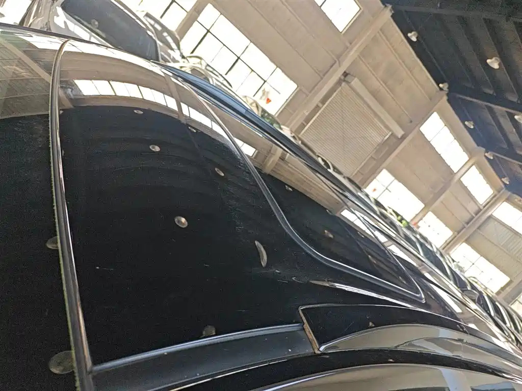 DONGFENG SCENERY 580 2021