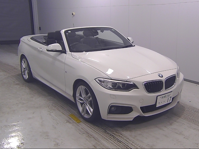 BMW 2 SERIES 2016