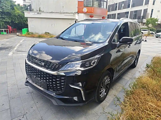 MAXUS OTHER
