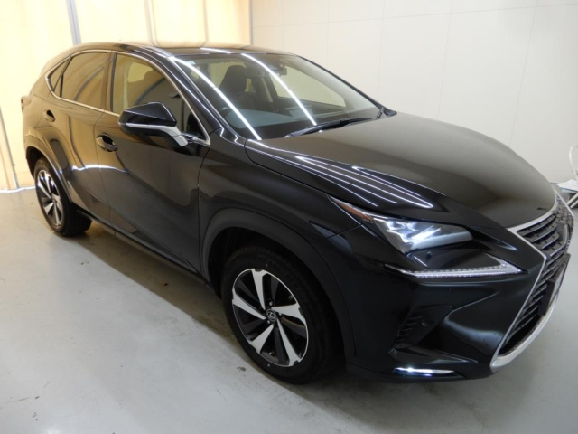 LEXUS NX 2020