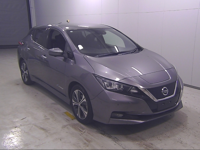 NISSAN LEAF 2018