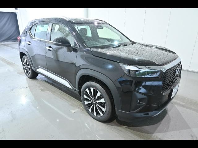 HONDA WR-V 2024