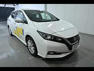 NISSAN LEAF 2018