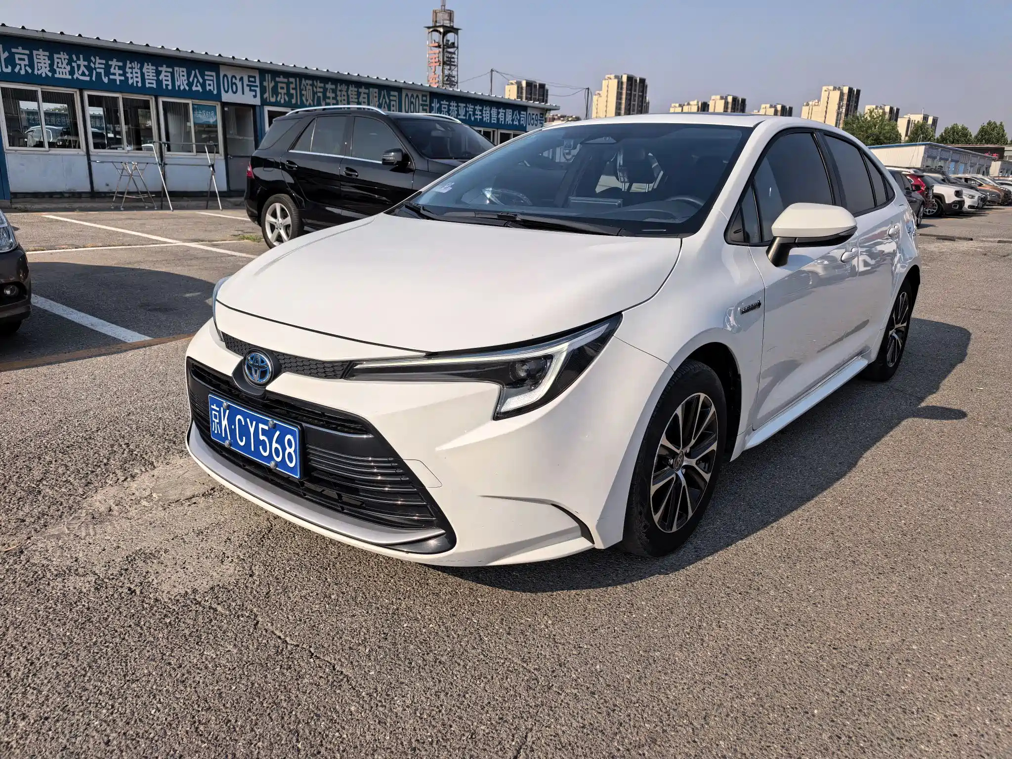 TOYOTA RALINK
