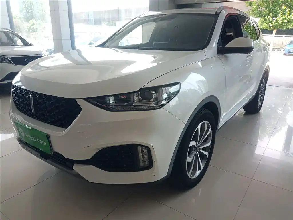 WEY VV6