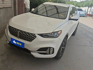 wey vv6