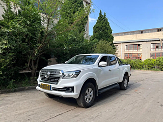 dongfeng other