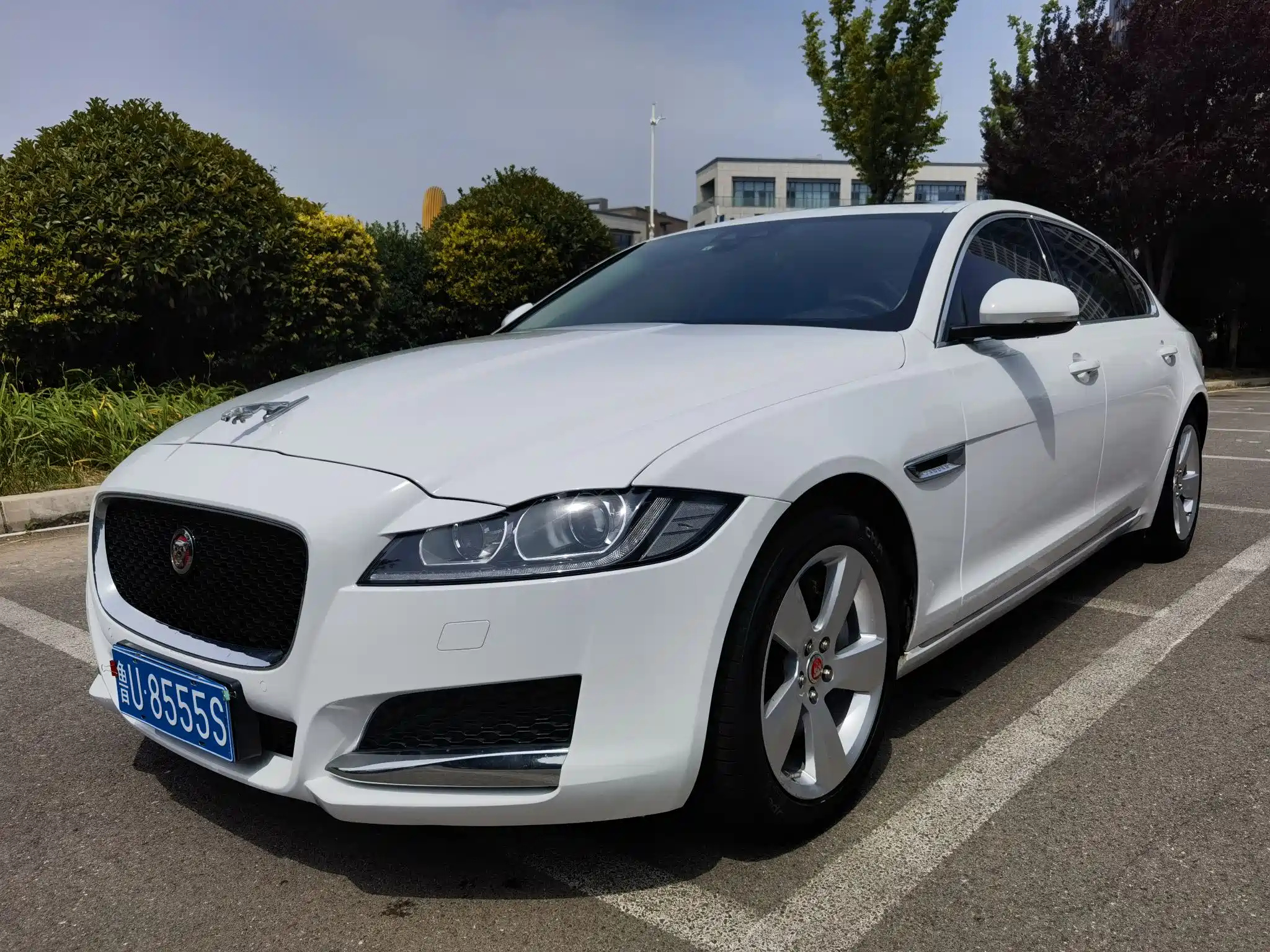 JAGUAR XFL