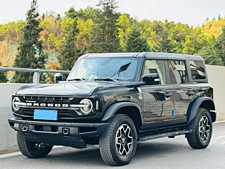 ford other