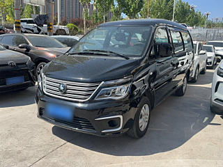 dongfeng lingzhi