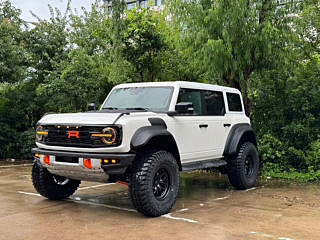 ford other
