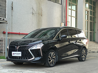 dongfeng other