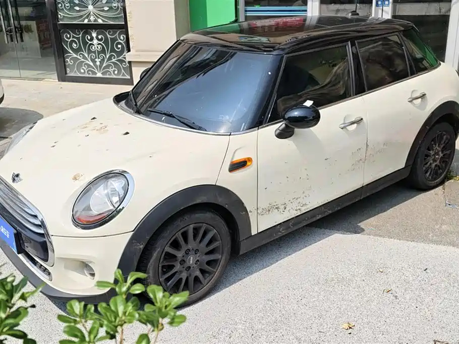 MINI OTHER