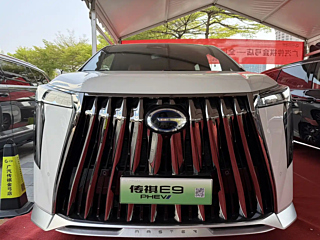 trumpchi e9