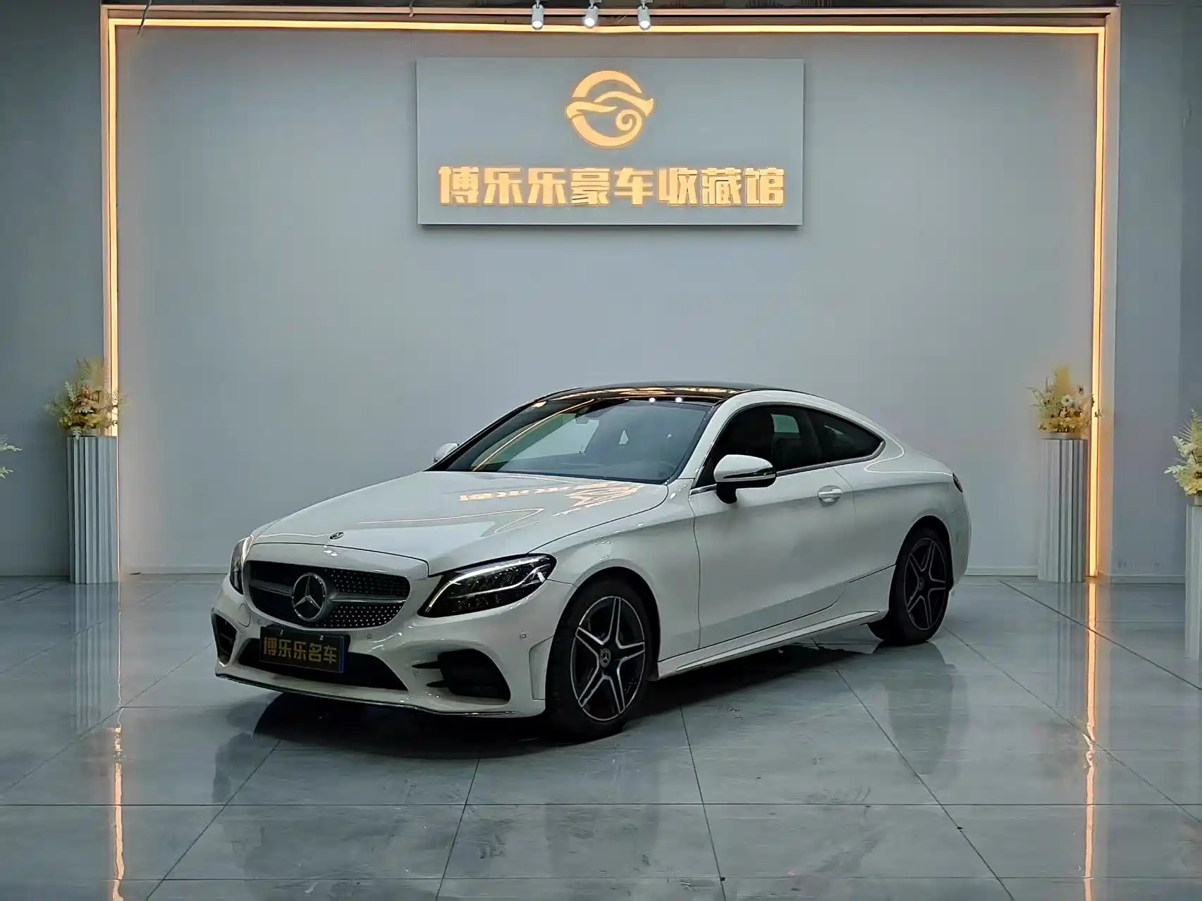 MERCEDES BENZ C-CLASS IMPORT