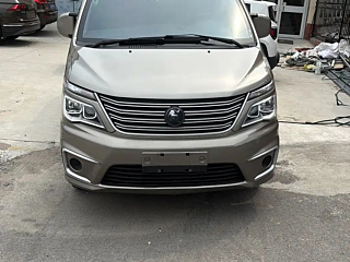 dongfeng lingzhi