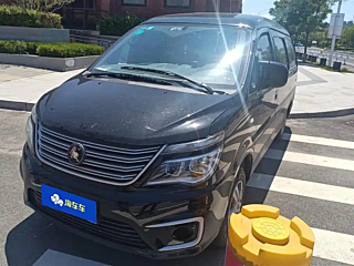 dongfeng lingzhi