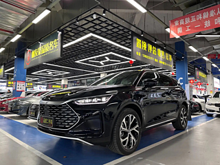 byd tang-new-energy